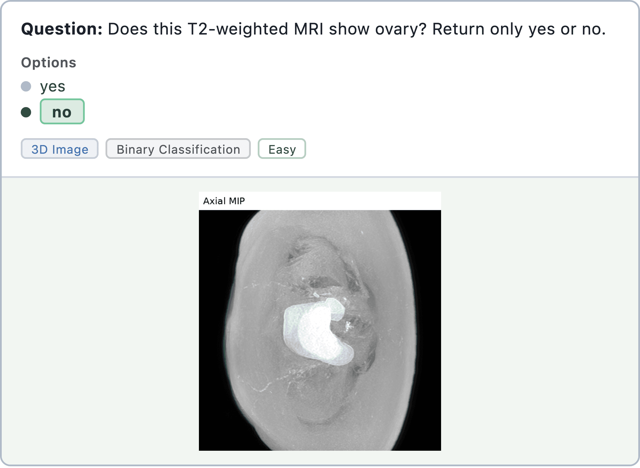 Figure 11: medical imaging classification sample