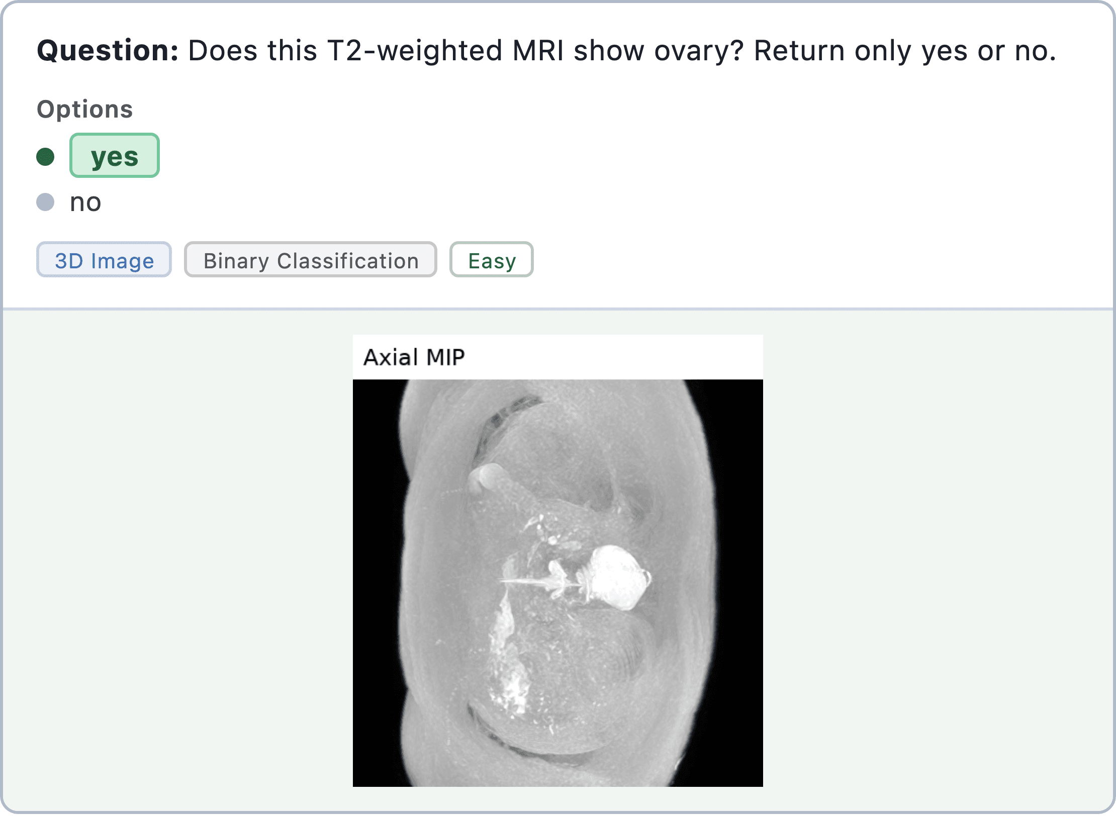 Figure 19: clinical imaging benchmark sample