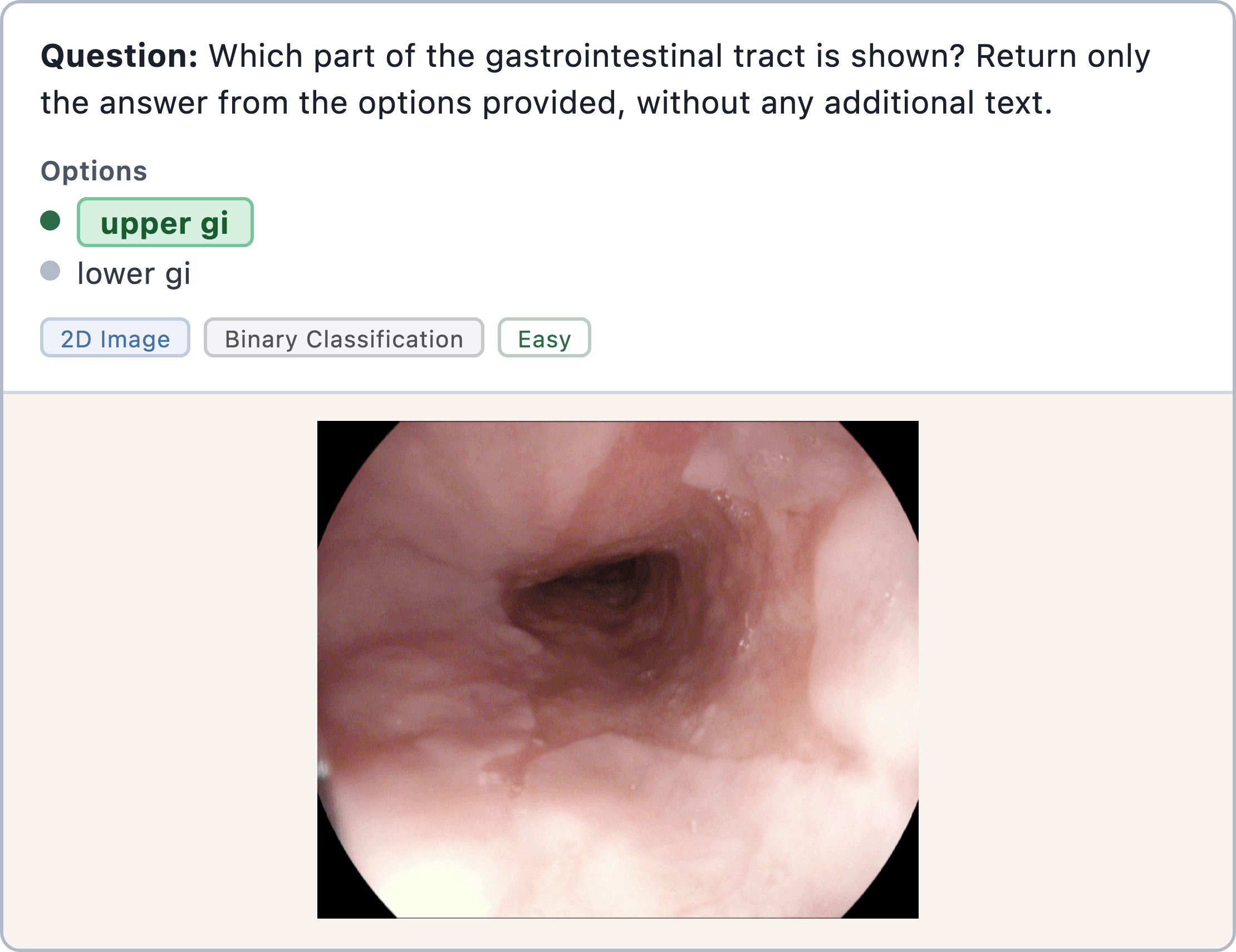 Figure 20: medical visual diagnosis sample
